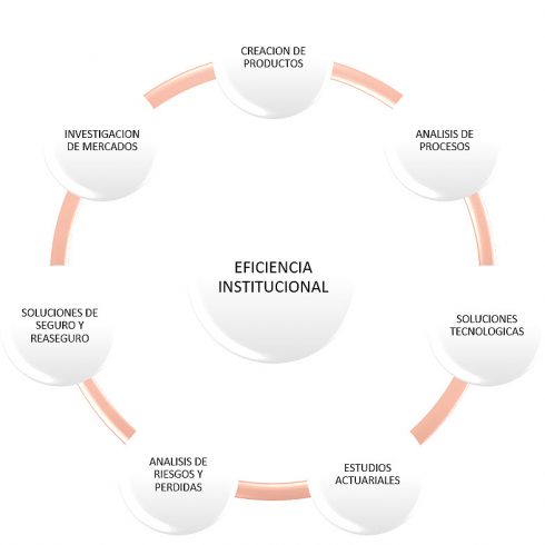 eficiencia-institucional